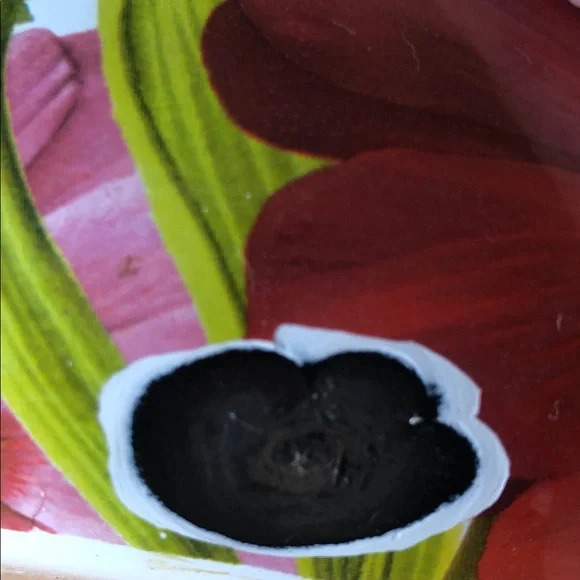 PIONEER Multicolor spring Floral Enamel Tea Kettle - Picture 11 of 11